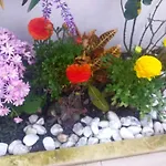 Piccolo Paradiso فندق مبيت وإفطار