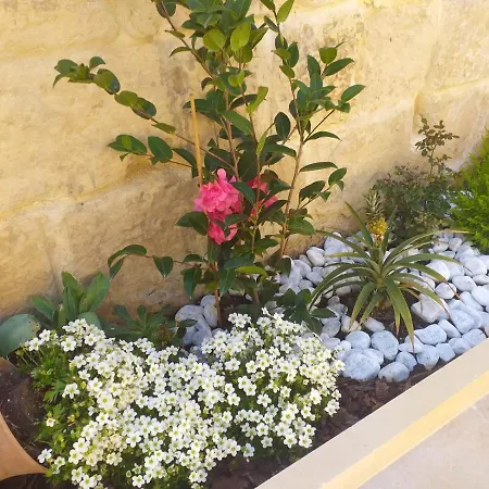 Piccolo Paradiso Bed and Breakfast