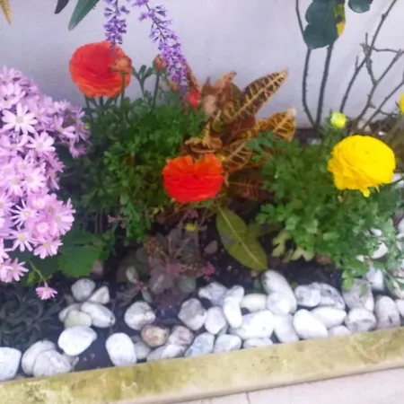 Piccolo Paradiso Bed and Breakfast