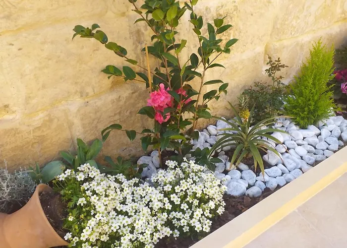 Piccolo Paradiso ベッド・アンド・ブレックファスト